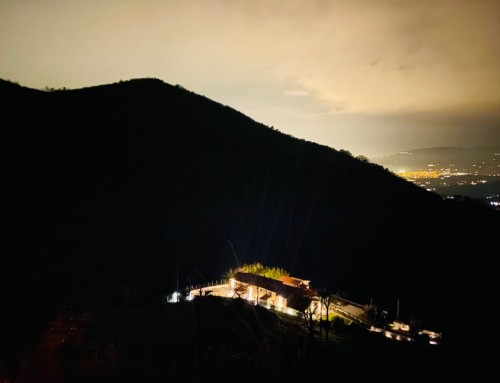 NicolaCecchiFarms di notte